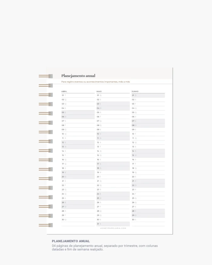 Honey Planner 2025 #Planejamento