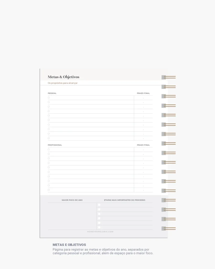 Honey Planner 2025 #Metas