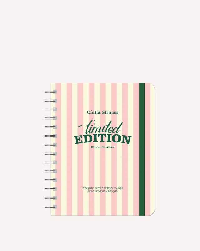 Mini Planner Diário 2026