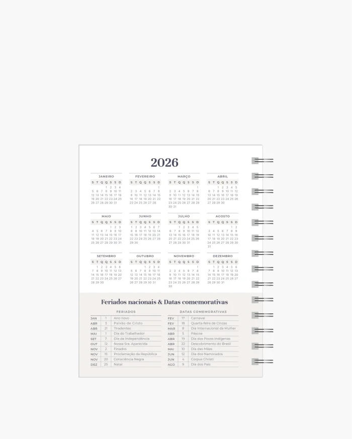 Mini Planner Diário