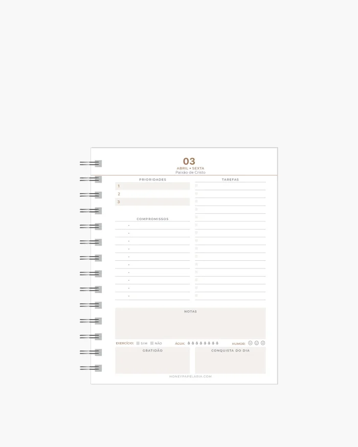 Mini Planner Diário