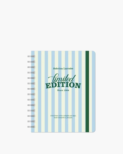 Mini Planner Diário Permanente