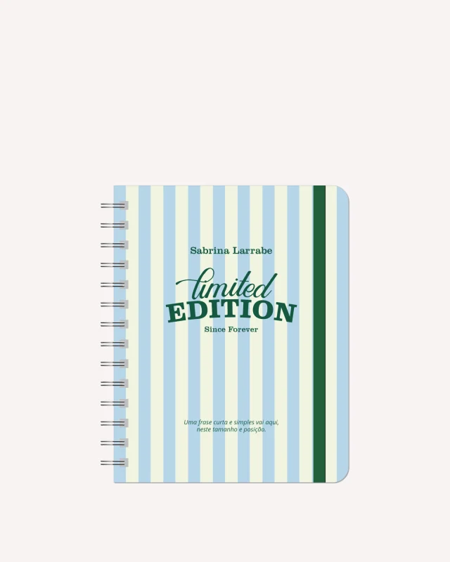 Mini Planner Diário Permanente